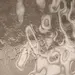 GM2 ANNEALED BRONZE